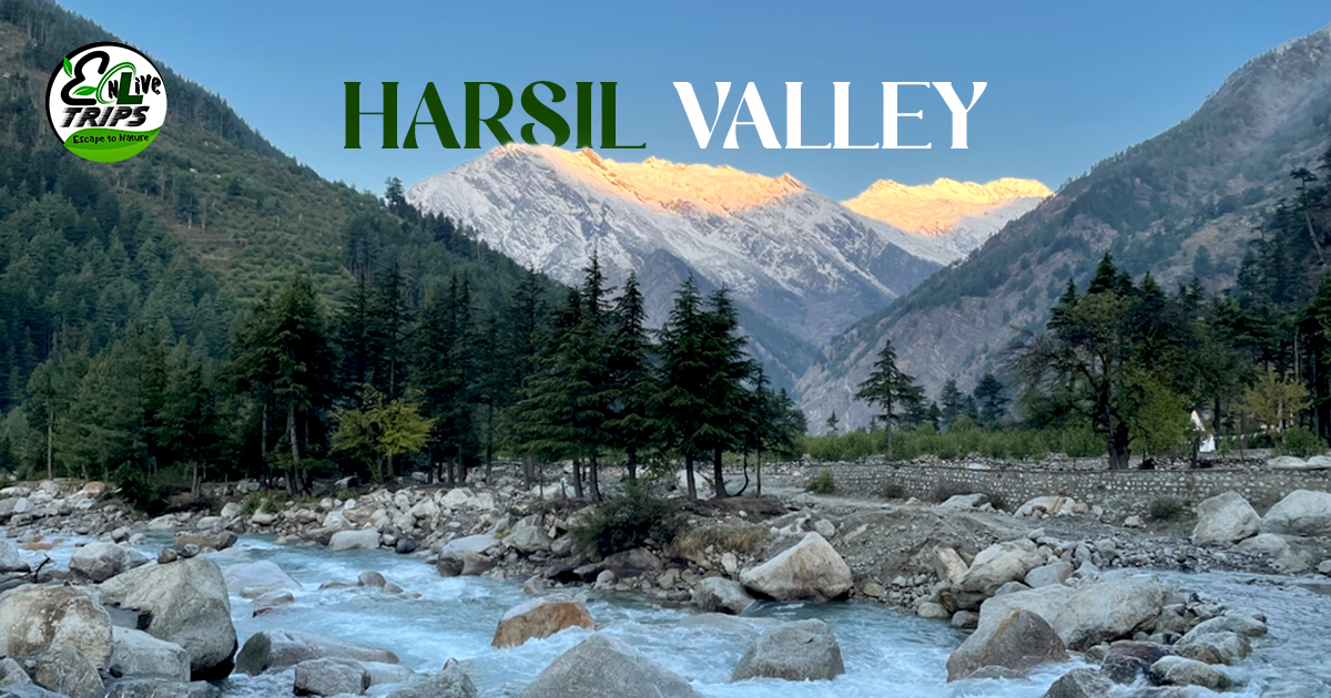 Best Time to Visit Harsil valley- Complete guide & itinerary
